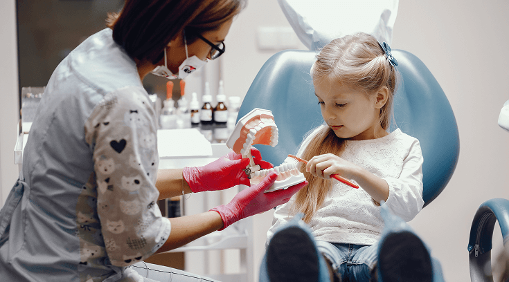 young girl practices brushing the model's teeth with an orange toothbrush.
