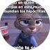 testimonials