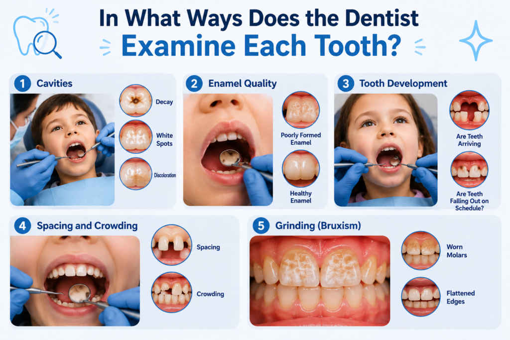 Dental infographic showing a pediatric dentist checking for cavities, enamel health, tooth development, spacing issues, and tooth grinding in children.